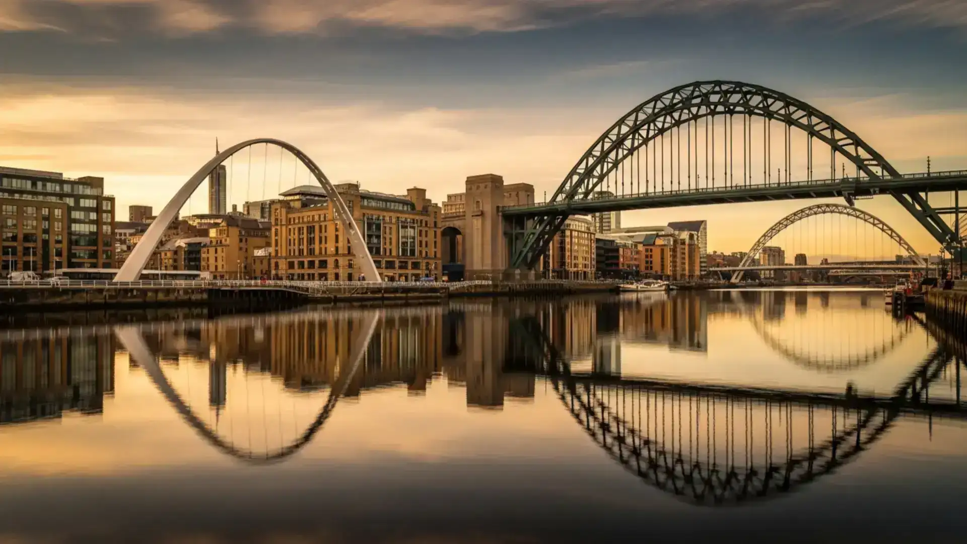 Pest control in Newcastle upon Tyne